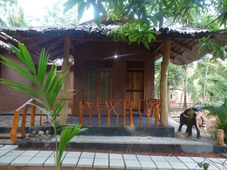 Peace Heaven Отели в г. Udawalawa