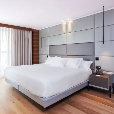 Hotel MyPalace León