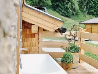 Chalet Salzach Near Ski Lift & Spa
