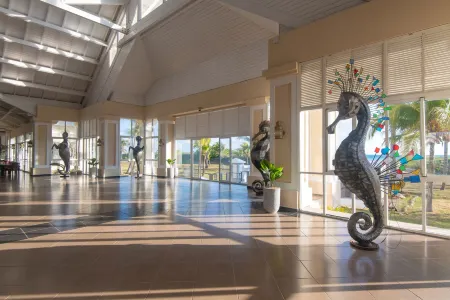 Playa Punta Hicacos Отели рядом с достопримечательностью «Cueva de Ambrosio»