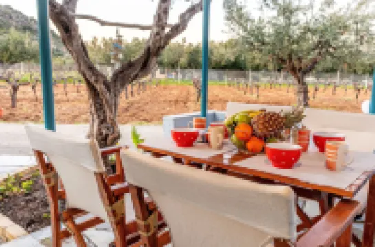 시크릿 서머 리트리트 - 페펙트 로케이션