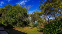Terra Coral - Chapada Dos Veadeiros