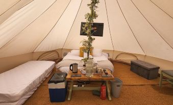 Campsite - the Ring Pub Glamping Pods