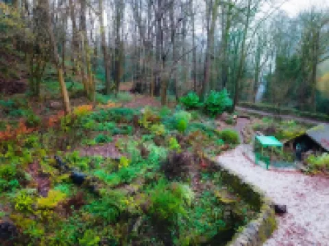 Robin Hood Tower Hotels in Matlock