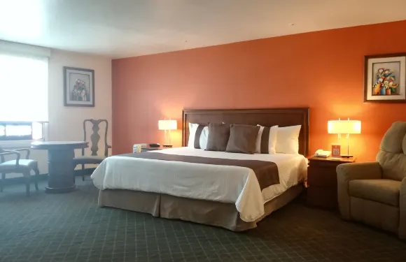 帕丘卡米西翁快捷酒店