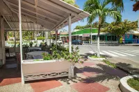 솔 카리브 시 플라워