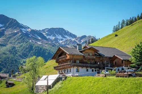 Apartmenthaus Gutwenger - Homestays