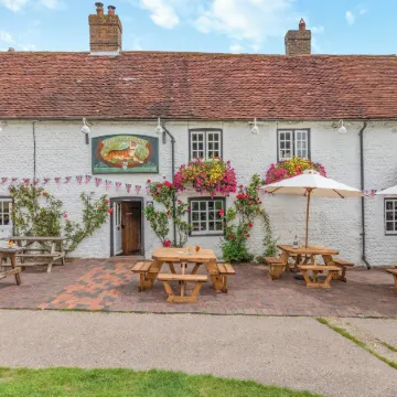 Patience - Tiger Inn