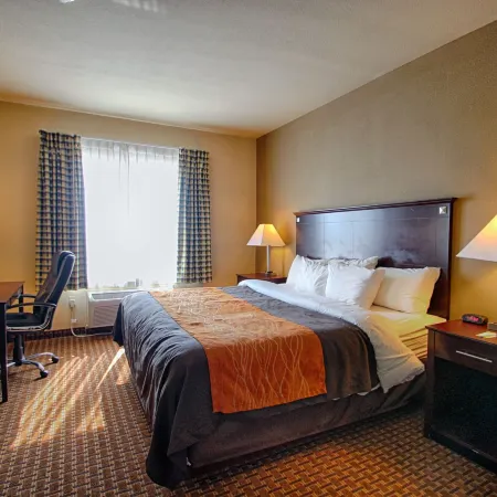 Comfort Inn & Suites Near Lake Lewisville