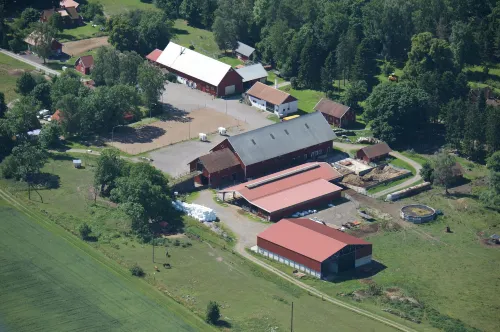 Kullagården - homestay