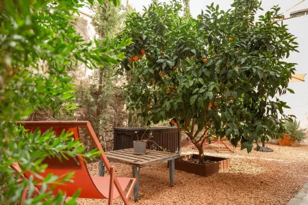 SólleRooms Отели рядом с достопримечательностью «Jardi Botanic de Soller»