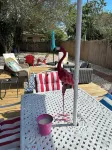 Mango Beach Retreat- Close to Palm Beach Downtown Eats Drinks Shopping Hotels in Lake Worth
