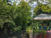 Hotel Campestre El Salitre Hotels in Sasaima