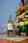 Suite Studio Serviced Apartments Hotel a Kanasin