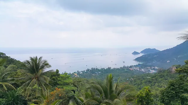 รูปภาพของกรีนเนอรี่ รีสอร์ท เกาะเต่า