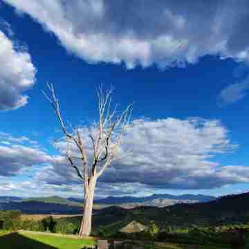 Kings Walden Garden Manor Others