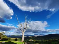 Kings Walden Garden Manor Hotels in Tzaneen