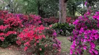 Sunnyside Bed & Breakfast