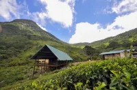 Wild Glamping Knuckles - Thema Collection Hotels in Medadumbara
