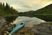 Velfjord Camping & Hytter - Ramah Hewan Peliharaan
