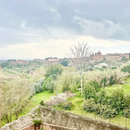 Provenzano Top Floor