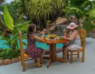 Hotel & Hot Springs Sueño Dorado