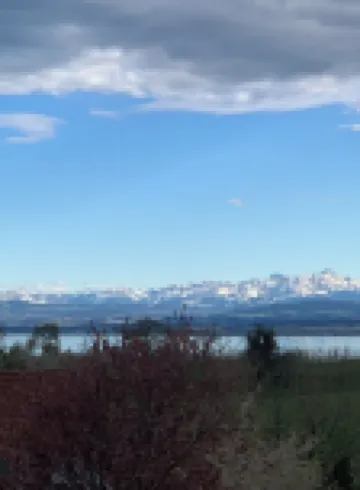 Modern bright apartment on Lake Constance Meersburg lake and mountain view vacation, dog