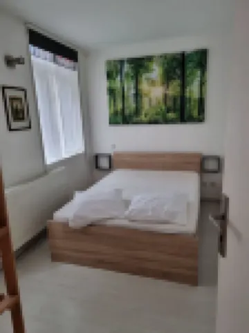 nice single house old lille