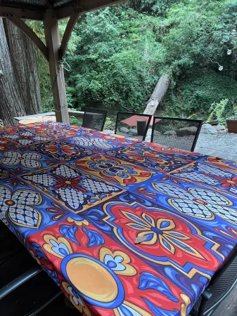 Cozy Creekside Cabin in Santa Cruz Mountains