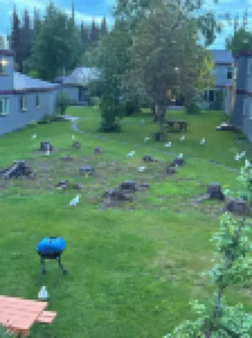 1.5 Miles from the Mouth of the Kenai River.  in the Heart of Kenai!