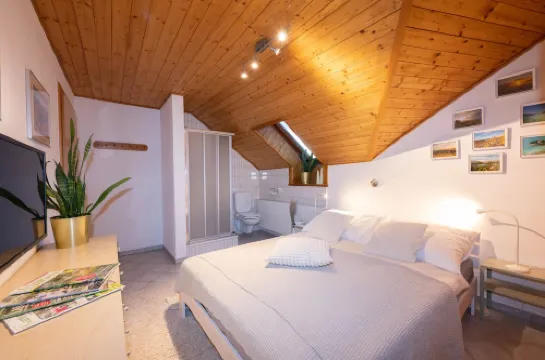 Apartment Klagenfurt Landhaus Wulfenia - Free Parking, Sauna, Air Conditioning