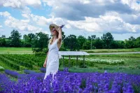 The Carriage House @ Mingle Hill Hotels in West Lincoln