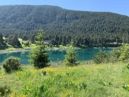 Cozy apartment in La Molina