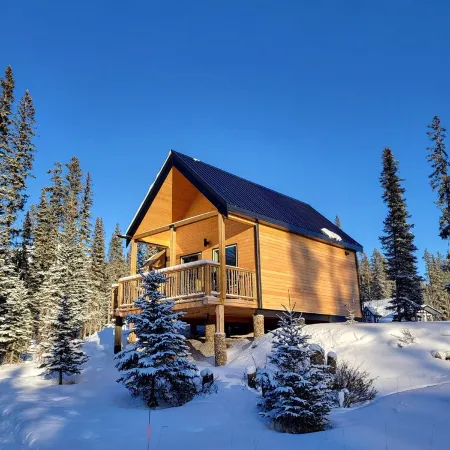 Luxury Stargazer Cottage - The Deer Den