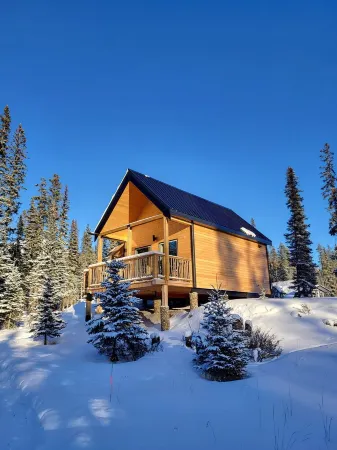 Luxury Stargazer Cottage - The Deer Den