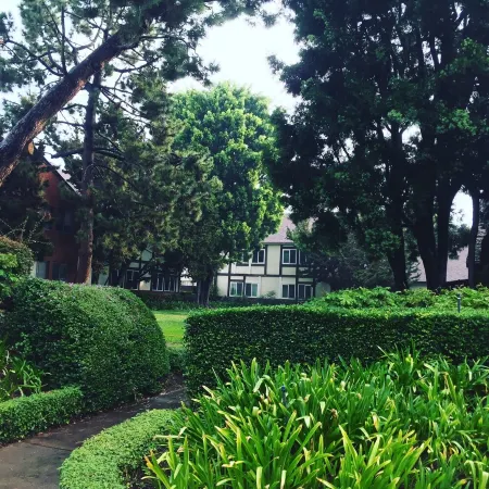 Disneyland Family home near Beach & Walk to zoo. Super central.