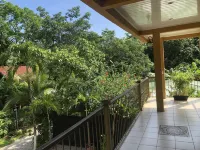 Villas Luna de Miel Hotels in Malpais