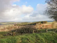 Blaidd Bach Hotels in Lampeter