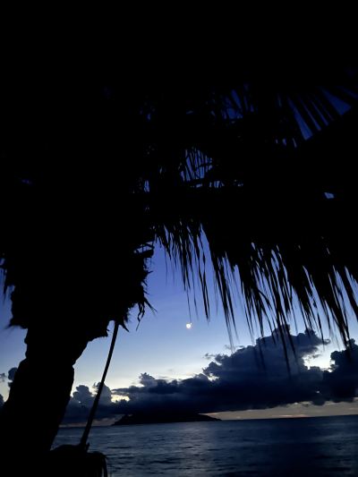 ホテル周辺 マリンブルー屋久島の写真