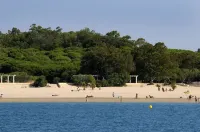 阿拉哈海灘旅館