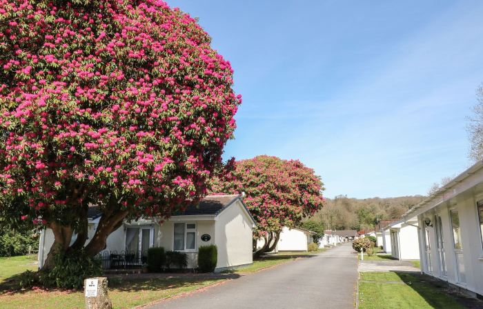 3 Rosecraddoc Lodge
