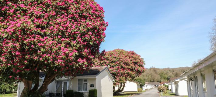 3 Rosecraddoc Lodge Hotels in Liskeard