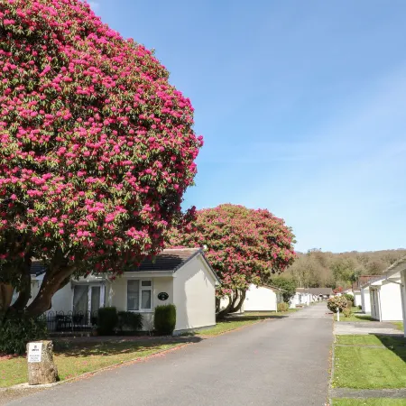 3 Rosecraddoc Lodge