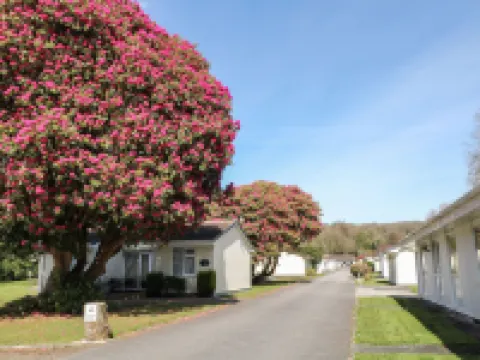 3 Rosecraddoc Lodge