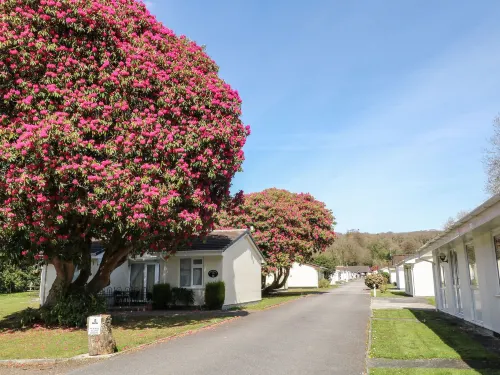 3 Rosecraddoc Lodge - Pet friendly