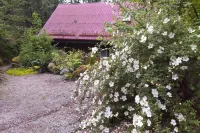 Moon Dance Cabin