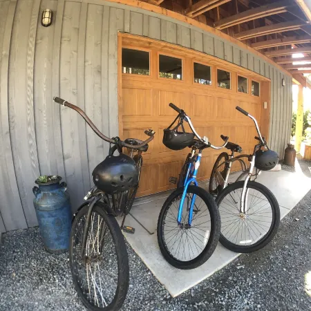 Black Bear Guesthouse