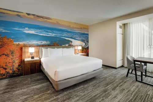 Drury Plaza Hotel Chattanooga Hamilton Place - Swimmingpools