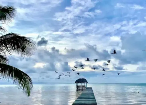 벨리스에서 바다 전망이 있는 모던 하우스  호텔