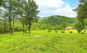 'Creekside Hideaway' w/ Fire Pit + Creek Access!
